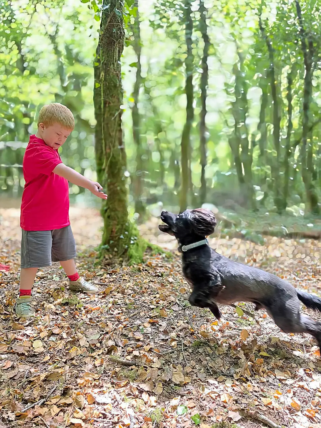 A child playing with Eli, their sprocker spaniel, among the leaf litter
