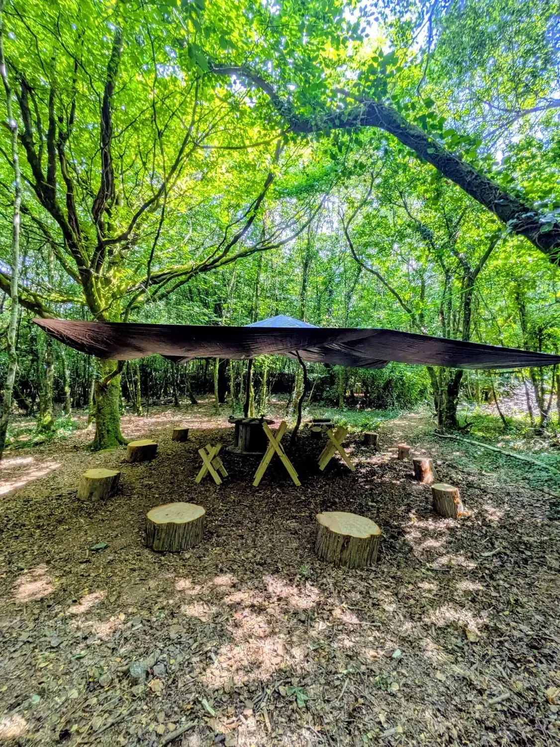 The woodwork area: sawhorse benches and log seats under the big tarp shelter in the woodland